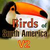 Birds of South America Icon