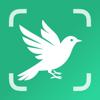 BirdScope: Bird Identifier Icon
