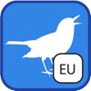 BirdSounds Europe Icon