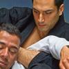 BJJ Purple Belt Requirements Icon