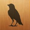 Blackbird! Icon