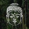 Bodhi Medical Qigong Icon