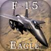 Boeing F-15 Adler - Gunsip Flugsimulator Icon