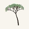 Bonsai Snip Icon
