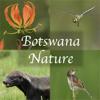Botswana Wildlife Guide Icon