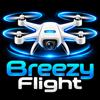 Breezy Flight Icon