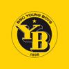 BSC YB Icon