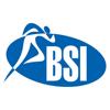 BSI Sport Icon