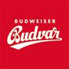 Budweiser Budvar &Ouml;sterreich Icon