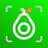 CaloCare: Kalorien Zähler Icon
