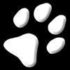 Camera Cards Icon