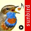 Cantos de Aves Id Icon