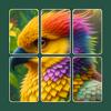 Cardscapes: Puzzle Icon
