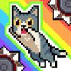 Cat Jump Icon