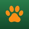 catch (cat tracker) Icon
