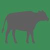 Cattle Weight Estimator Icon