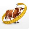 Cattle Weight Pro Icon