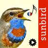 Chants d’oiseaux automatique Icon