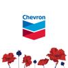 Chevron Icon