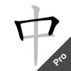 Chinese Strokes Order Pro Icon