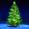 Christmas Songs Music Playlist Icon