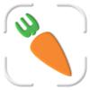 CibouScan - You Scan Icon