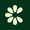 Clove: Rezepte sammeln Icon