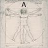 Complete Dynamics Amateur Icon