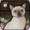 Cottage Garden Icon