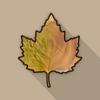 Creative Woodturner Icon
