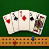 Cribbage, eh? Icon