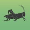 Cricket Sounds Icon