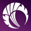 CS Play Icon