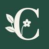 Curio Studio: Hobby Workbench Icon