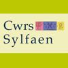 Cwrs Sylfaen Icon