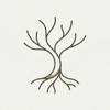 Daily Philosophy - Roots Icon