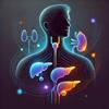 Das Endokrine System Quiz Icon