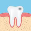 Dental Anatomy Quizzes Icon