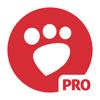 Desqueeze PRO: Stapelgröße Icon