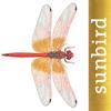Dragonfly Id Britain & Europe Icon