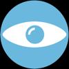 e-i Pro Icon