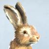 Easter Bunny Camera Icon