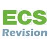 ECS Revision Icon