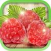 Edible Wild Plants Icon