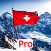 Einbürgerung Schweiz - Pro Icon