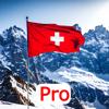 Einbürgerung Schweiz - Pro Icon