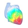 Epicardio Heart Simulator Icon