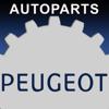 Ersatzteile für Peugeot Icon