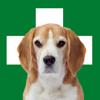 Erste Hilfe Hund Icon