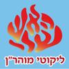 Esh Likute Moharan Icon